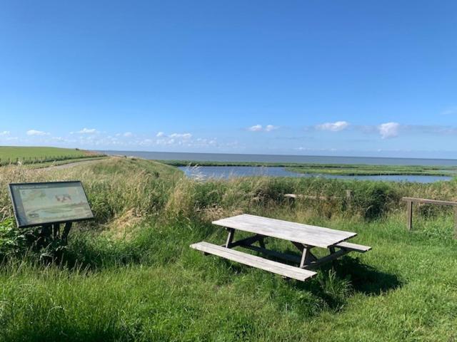 Op Zestien Hippolytushoef Exterior foto