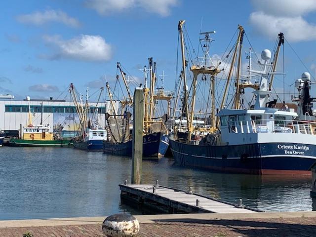 Op Zestien Hippolytushoef Exterior foto
